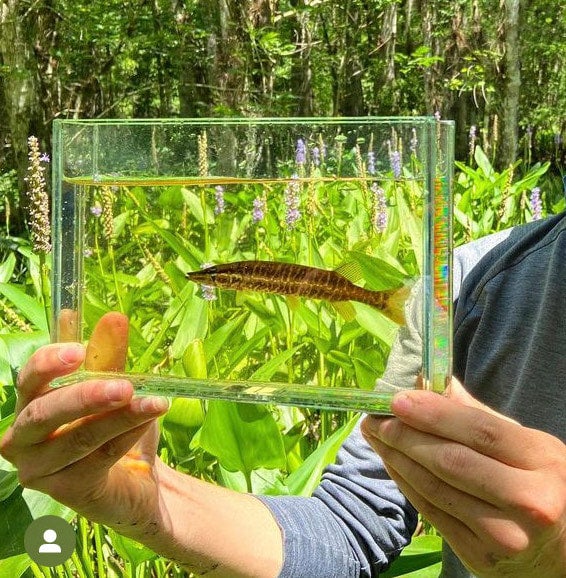 Photo Tanks Aquarium Fish Glass Acrylic | Wild Fish Tanks Photo Tanks Aquarium Fish Glass Acrylic | Wild Fish Tanks